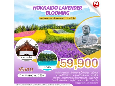 Hokkaido Lavender Blooming (6D3N)
